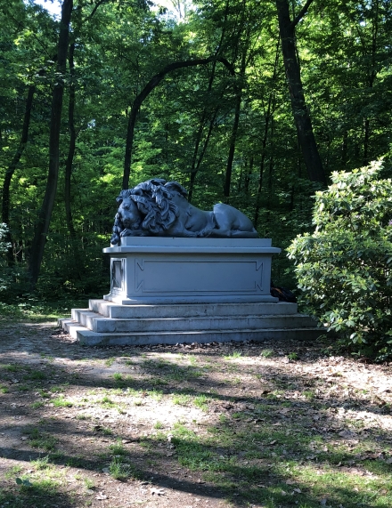 Lion in the Park