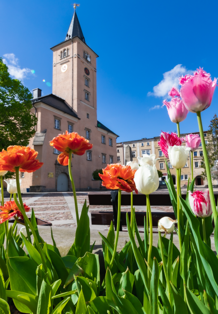 RADKÓW RYNEK