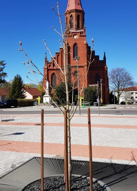 Rynek w Bobolicach