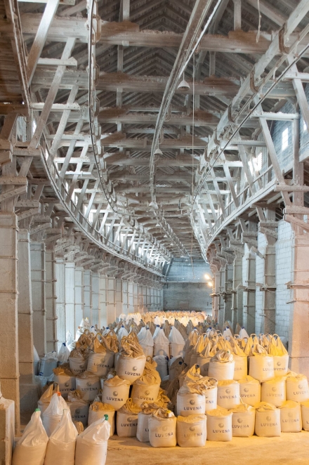 Budynki byłych Zakładów Chemicznych