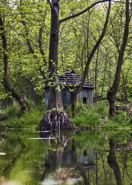 Park Powstańców Wielkopolskich